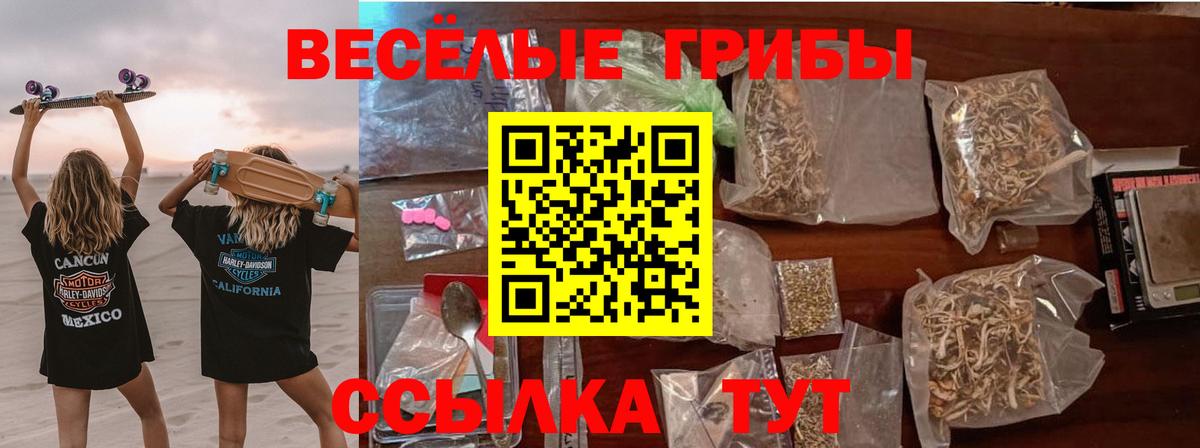 Галлюциногенные грибы Psilocybe  Вход с VPN  Воркута  Галлюциногенные грибы MAGIC MUSHROOMS 